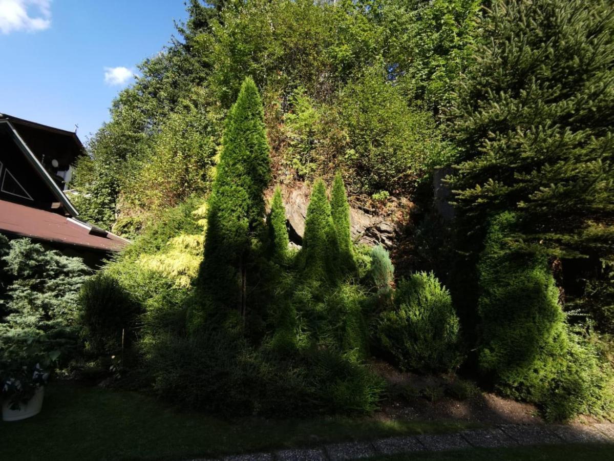 Apartamento Haus Am Bach Kirchberg in Tirol Exterior foto